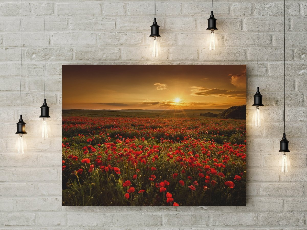 poppy-flower-poppy-field-canvas-wall-art-sunset-poppy-fields-art-300441